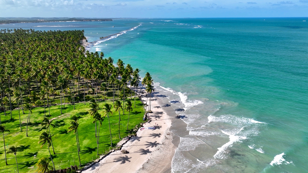 Carneiros beach Pernambuco